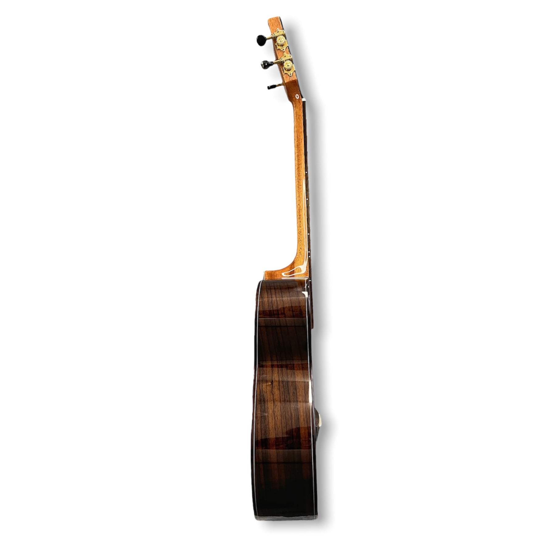 ORION Tenor Ukulele 'Alnilam' Solid Spruce Top